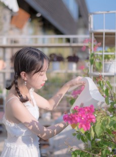 阳光灿烂石拔碎