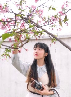落樱少女